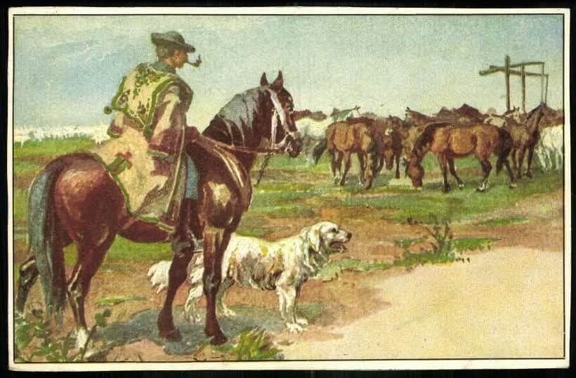 Painting-of-Kuvasz-and-Hungarian-shepherd